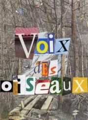 Atelier Ecriture Enfants<br>"Voix des Oiseaux"<br>1993 - 1994